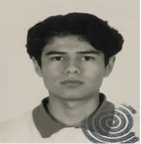 VERGARA SIFUENTES MARIO