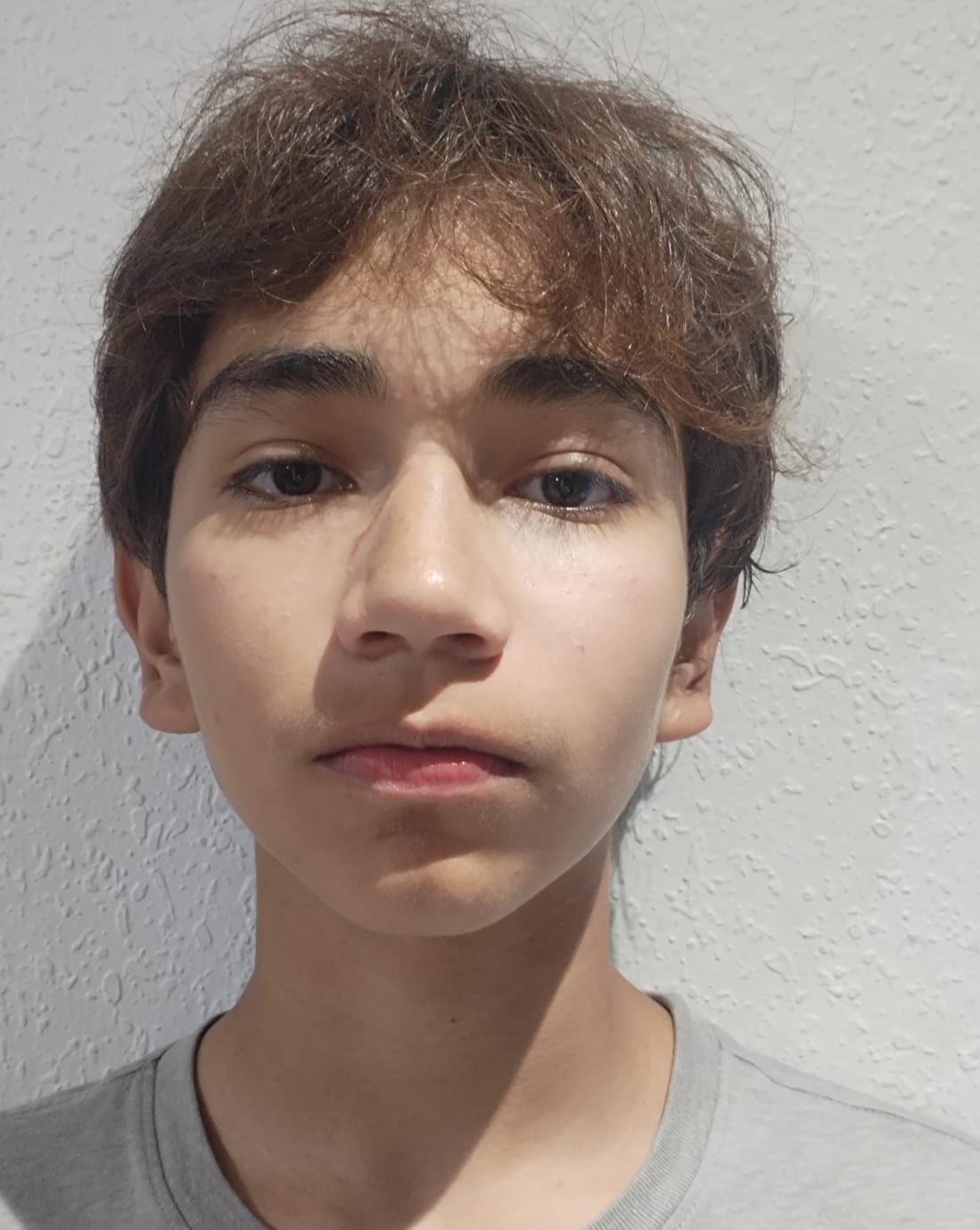 GÓMEZ ARMENDARIZ GABRIEL DAVID