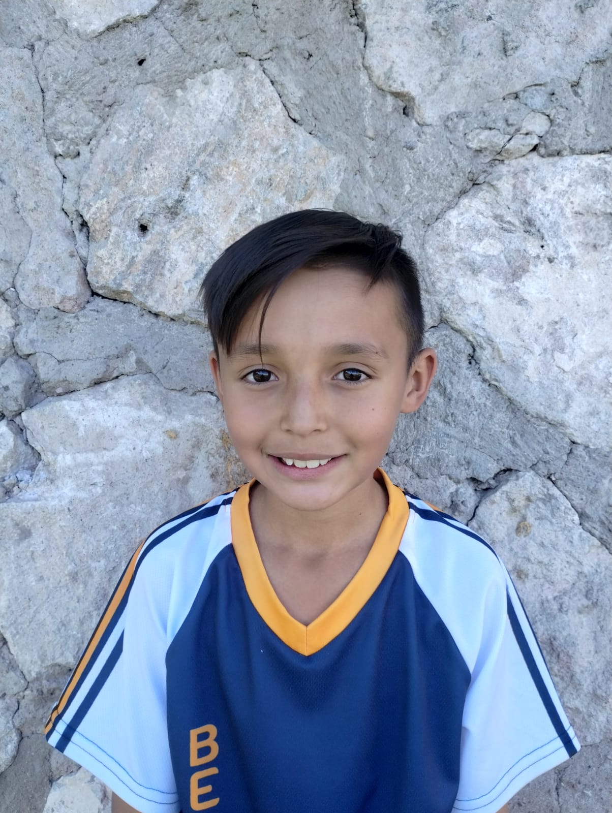 ARREOLA PEREZ LUIS ENRIQUE