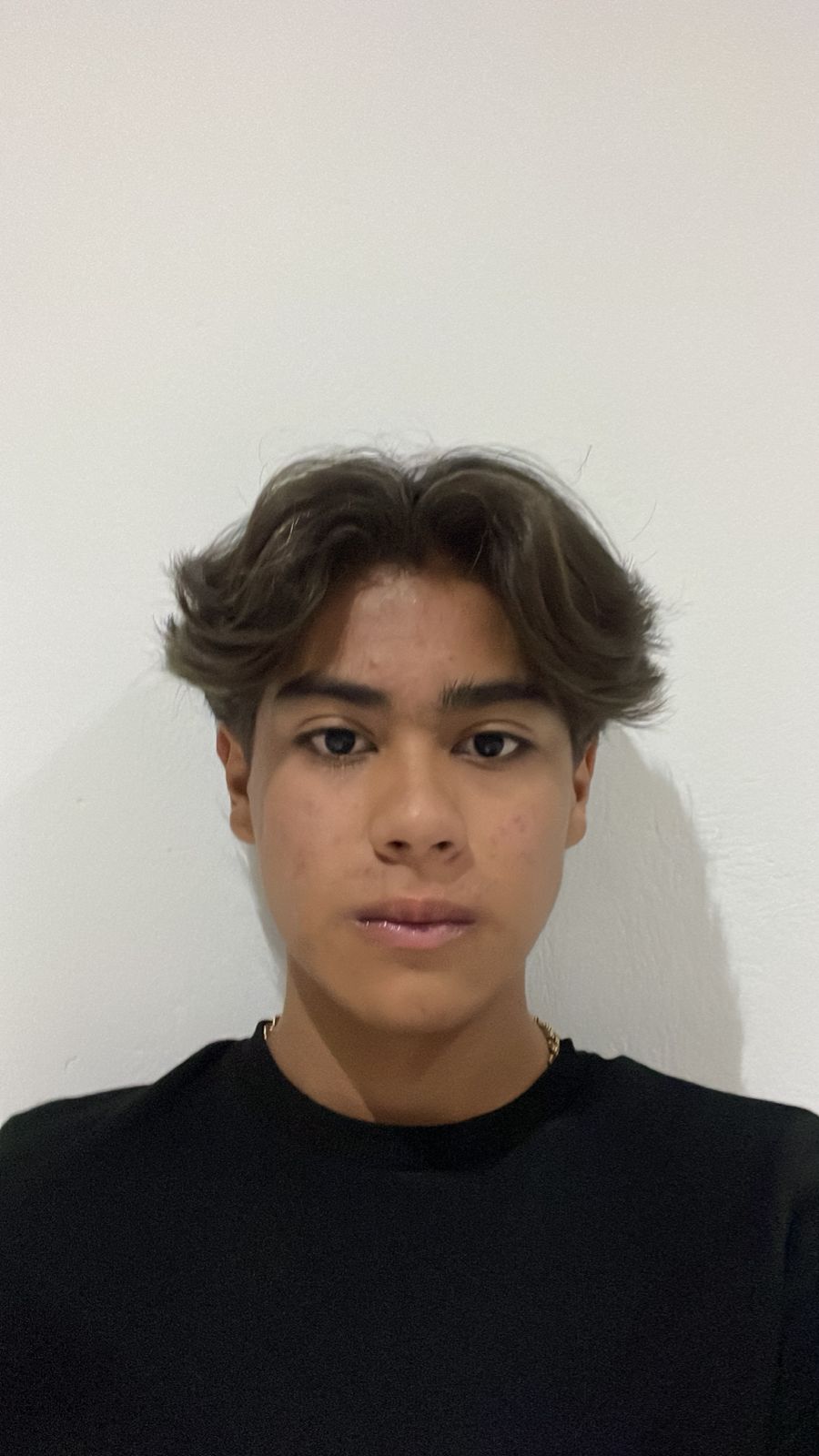 SALAIS RODRIGUEZ MATEO DE JESUS