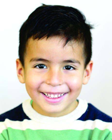 FALOMIR CAMPOS RODRIGO 