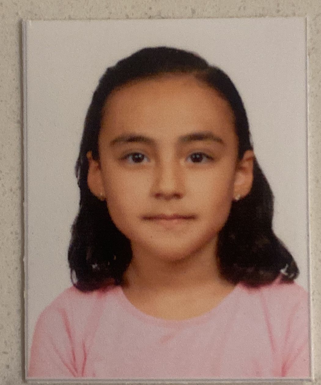 PEREZ HERNANDEZ  PAULA 