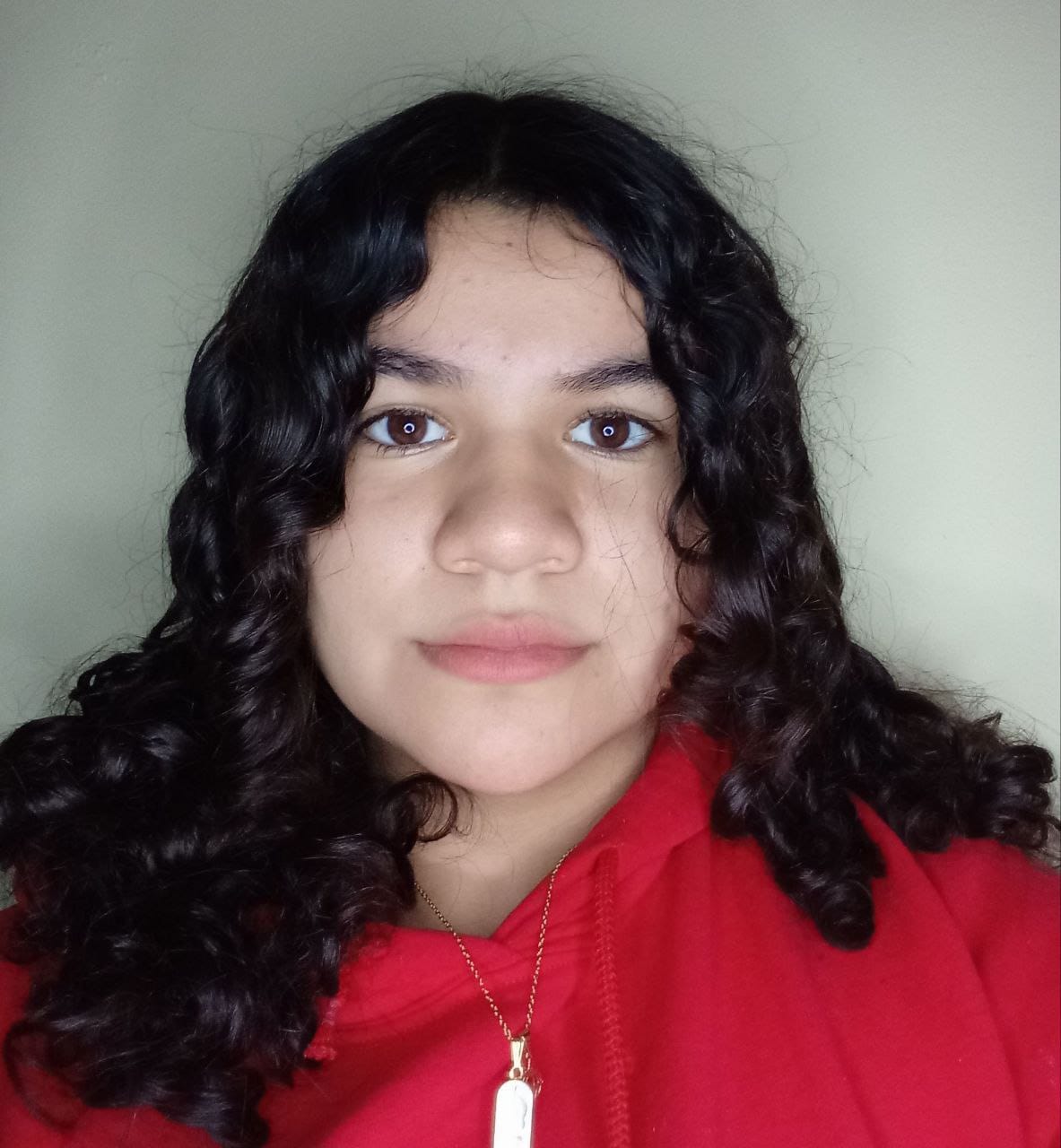 MIRELES LIMON ALLEGRA